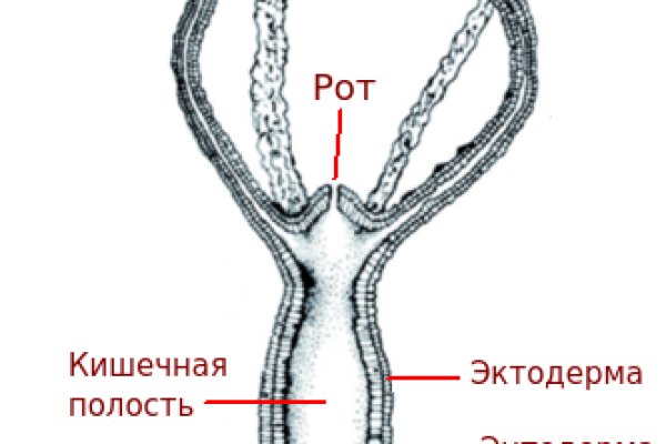 Кракен сайт krakens13 at