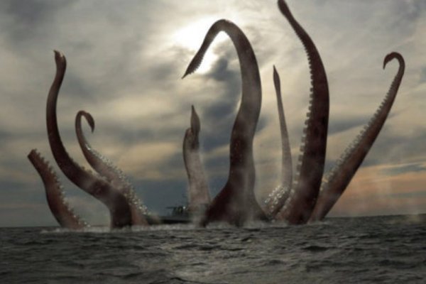 Hydra kraken