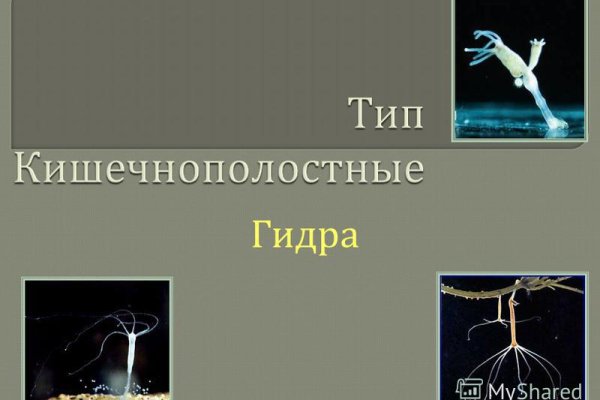 Как зарегистрироваться в кракен в россии